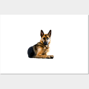 German Shepherd GSD So Stylish! Posters and Art